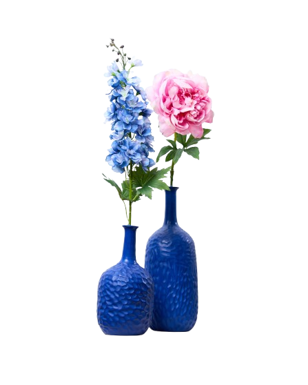 Tilila_Blossom-25-removebg-preview